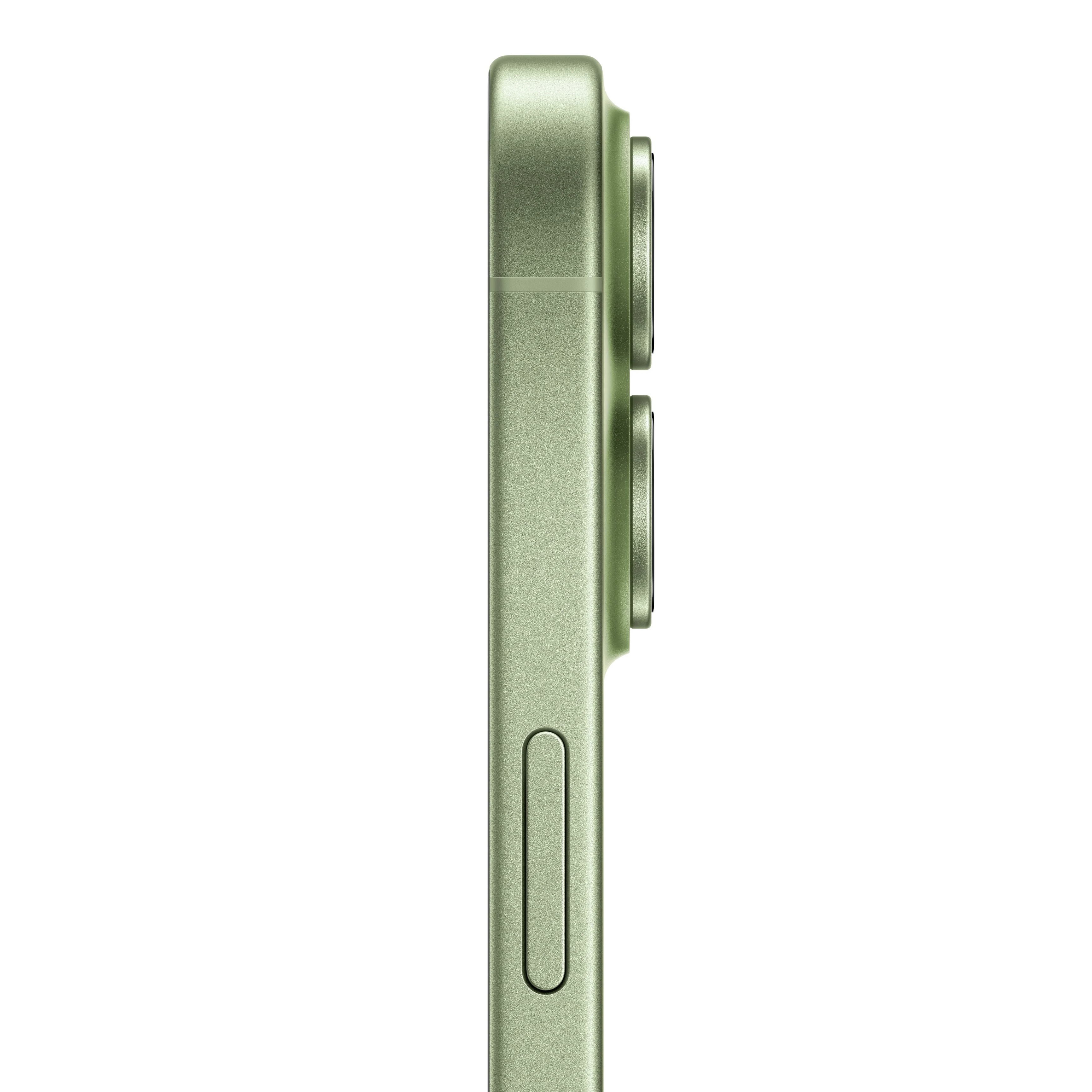 17 256GB Xanh Lá Xô Thơm (Sage)
